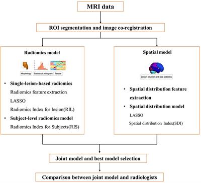 An MRI-based joint model of radiomics and spatial distribution differentiates autoimmune encephalitis from low-grade diffuse astrocytoma